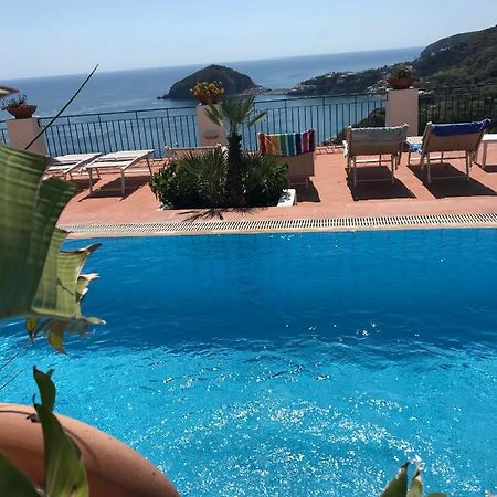 L' Ulivo Villa Nunzia Barano d'Ischia ภายนอก รูปภาพ
